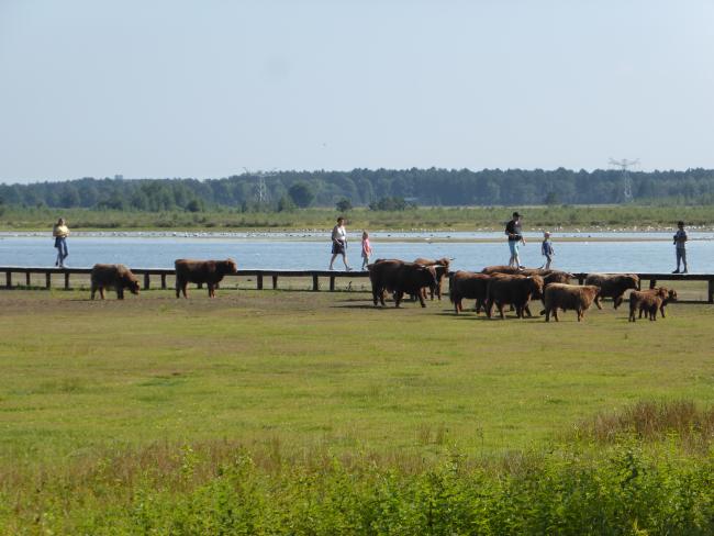 Huis ter Heide