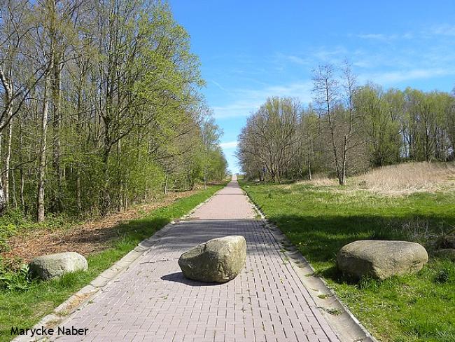 Bijzondere bergwandeling Emmen 