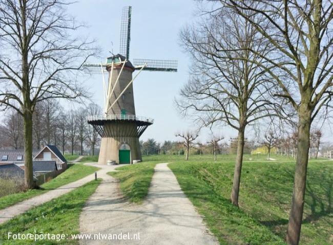 Groene Wissel Hulst 1