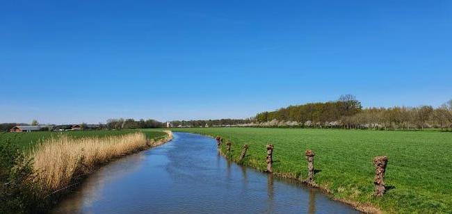 Knopenrondje Werkhoven