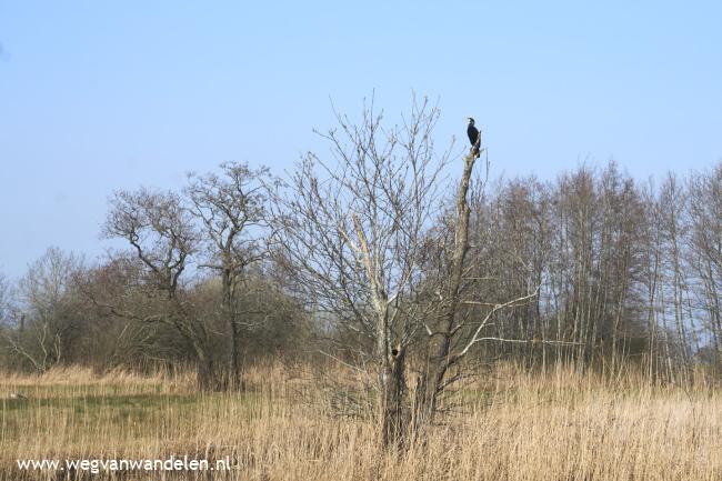 Weg van Kiersche Wijde