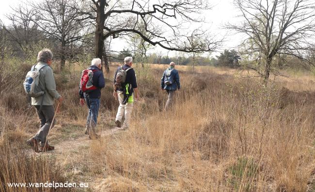 Rondom de Reuselsche Heide