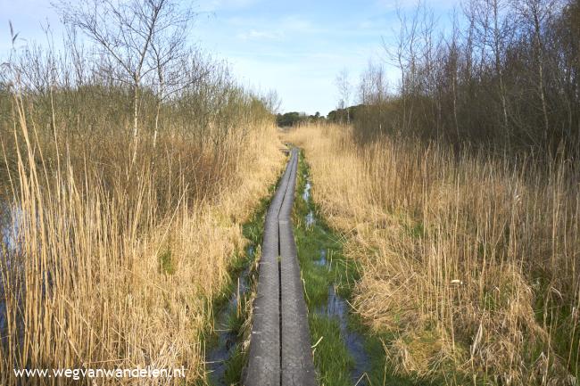 Weg van Korenburgerveen