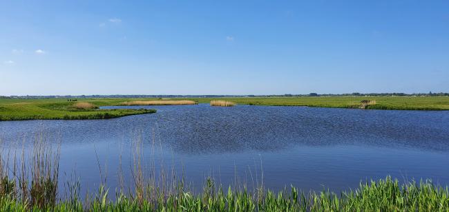 Knopenrondje Eempolder