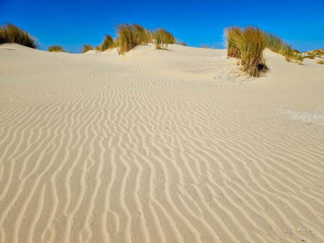 Trage Tocht Ameland Ballum