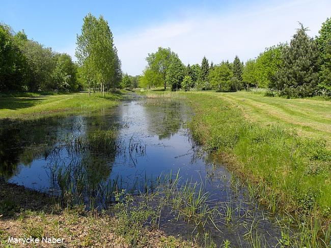 Arboretum Assen