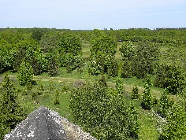 Uitzicht op Arboretum Assen vanaf uitkijktoren