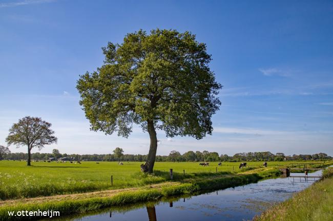 Fruitig Twente