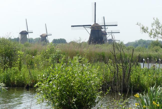 Werelderfgoedwandeling Kinderdijk