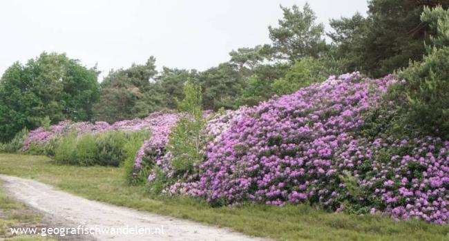 Rondje over landgoed De Valouwe