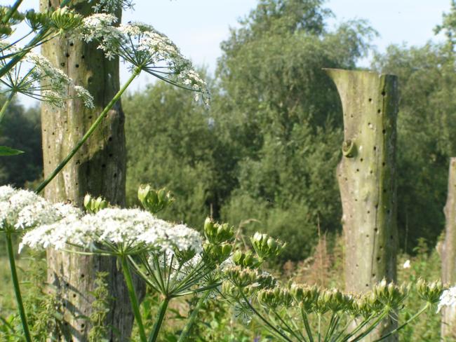 Door een oud landschap