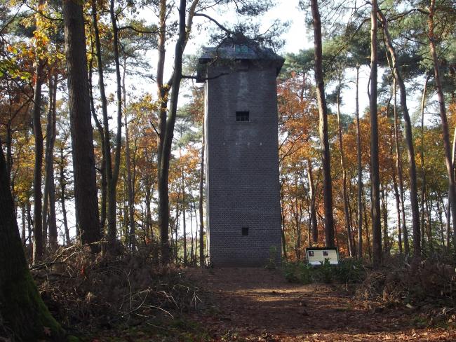 De uilentoren op landgoed de Bedelaar