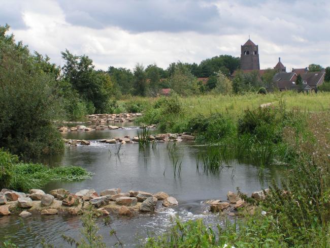 vistrappen in het riviertje de Beerze