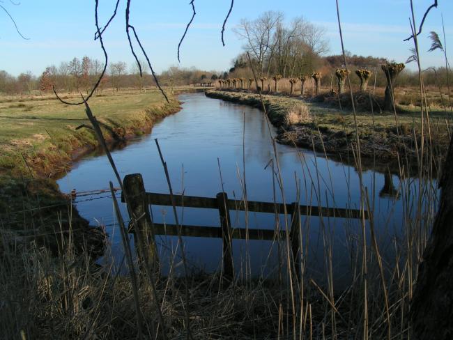 riviertje de Dommel