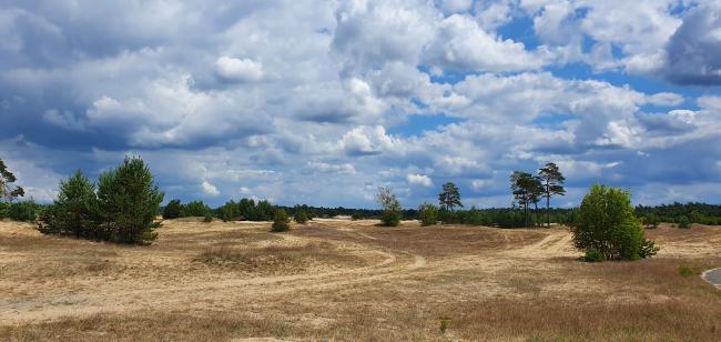 Knopenrondje Harderwijker Bossen