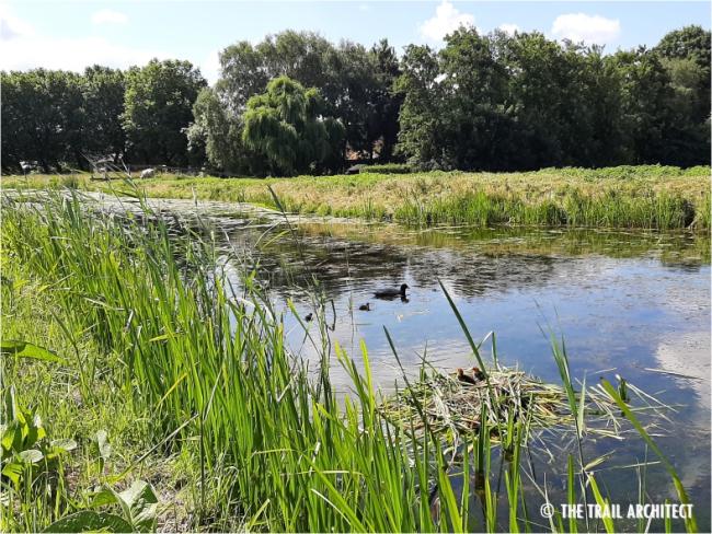 Knopenrondje Zoetermeer