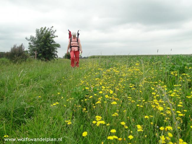 Trage Tocht Ede Driesprong