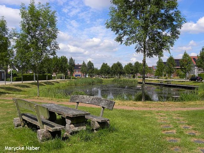 Picknicktafel bij vijver in park Kloosterhout
