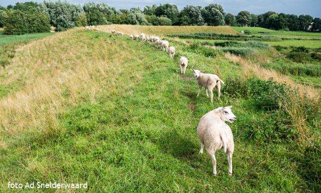 Naarden en Naardermeer