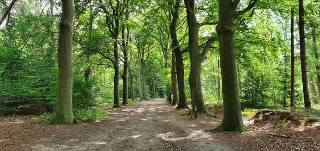 Knopenrondje Postweg Doorn