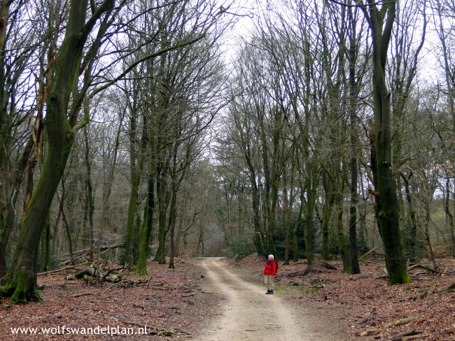 Trage Tocht Staverden