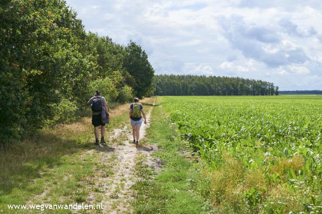 Weg van Hooghalen