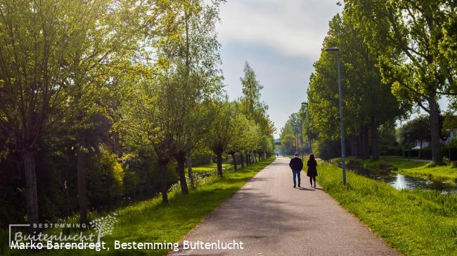 Groen op Zuid