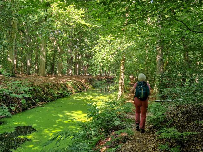 Trage Tocht Nijemirdum