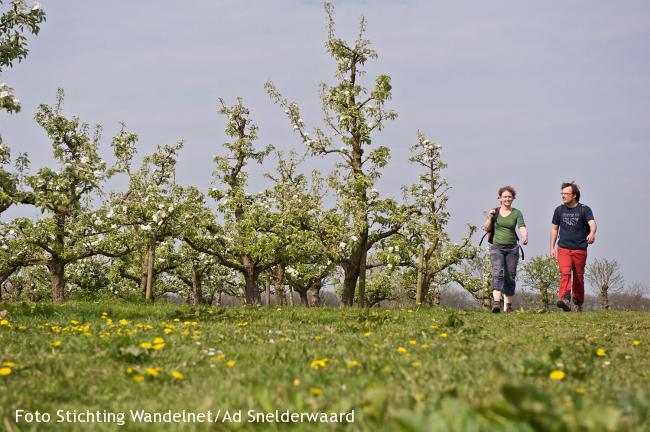 OV-Stapper Mariënwaard - Linge