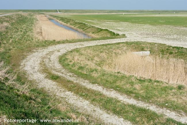  Zuiddijk