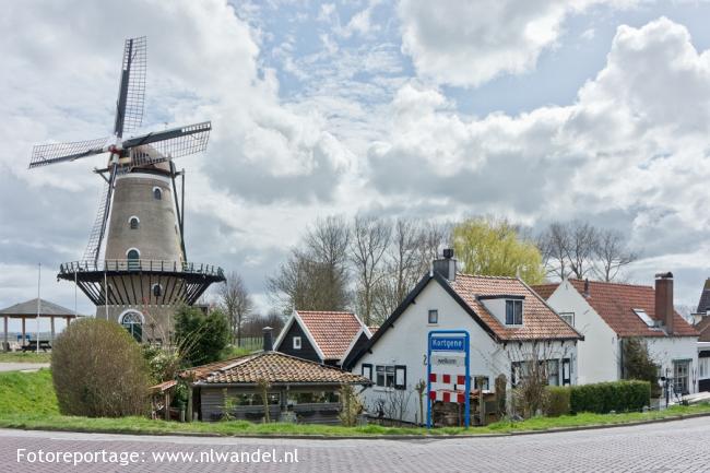 Kortgene, molen