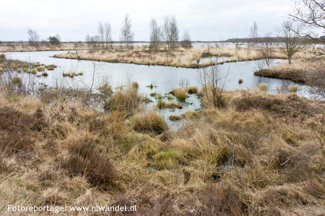 Groene Wissel Appelscha 1