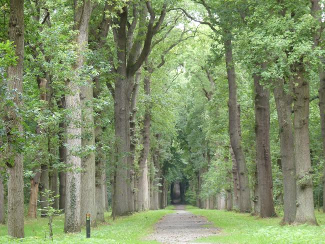 Trage Tocht Oostvoorne