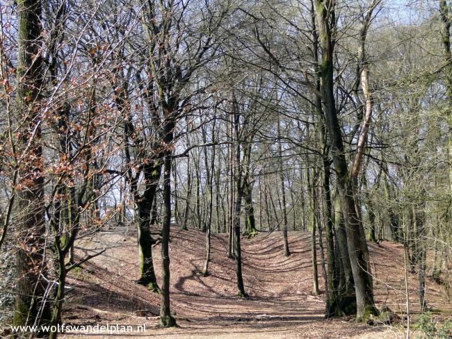 Trage Tocht Garderen