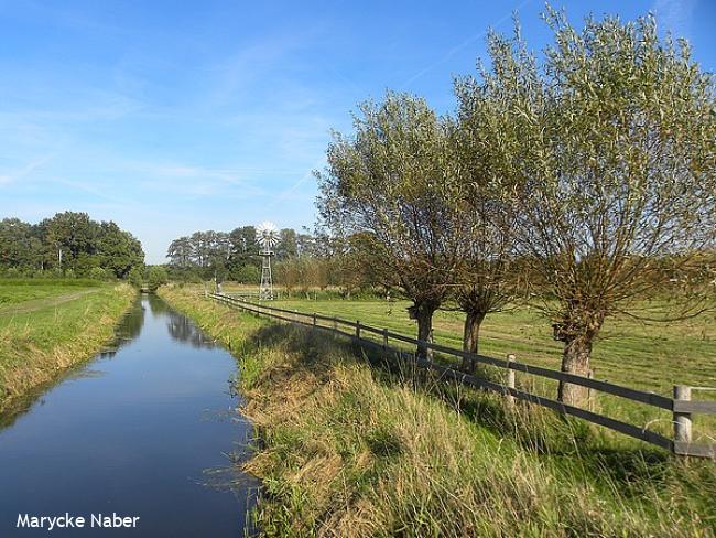 Raalter Wetering met Amerikaanse windmolen