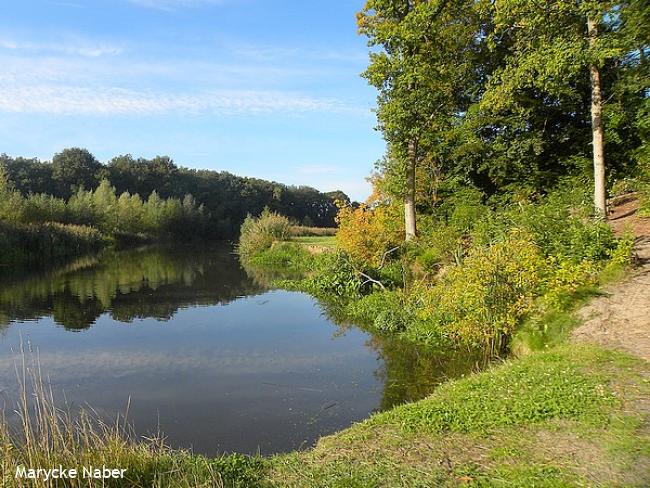 Landgoedwandeling Het Laar en Regge