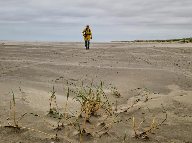 Trage Tocht Terschelling Lies