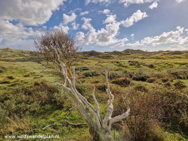 Terschelling West aan Zee gps-wandeling