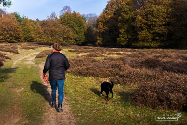 Beegderheide Compleet