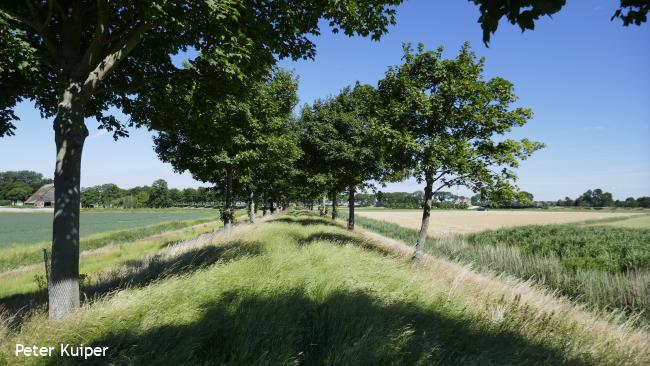 Op IJsselmonde