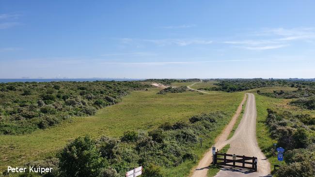 Duinen van Goeree