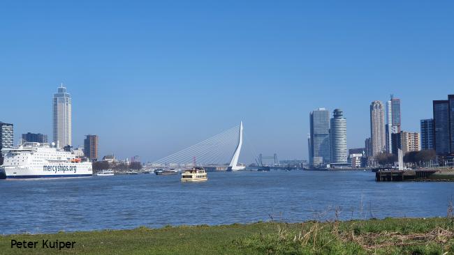 Rotterdam-Zuid