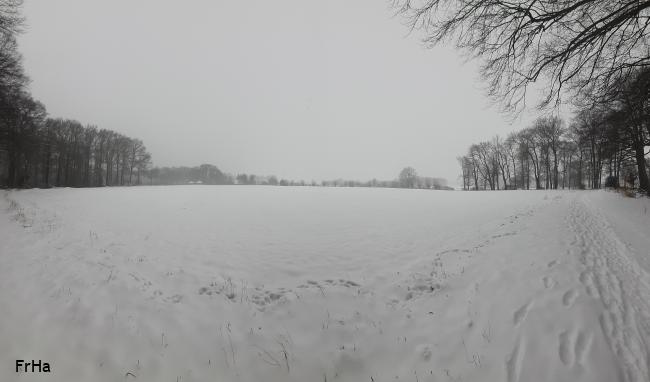 Veldhorst - Winter 2021