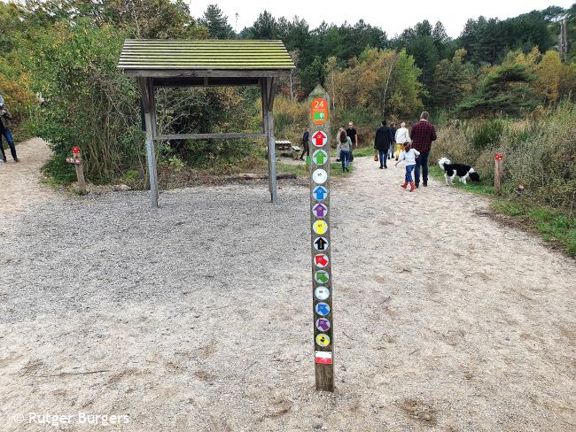 Knopenrondje Schoorlse Duinen