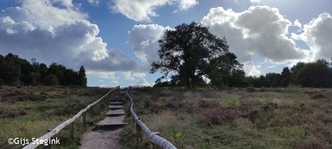 Knopenrondje Holthingerveld