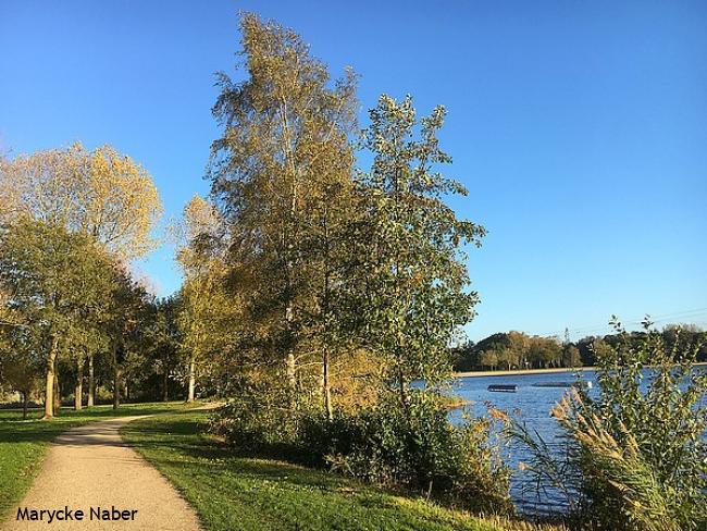 Langs de Wijthmenerplas