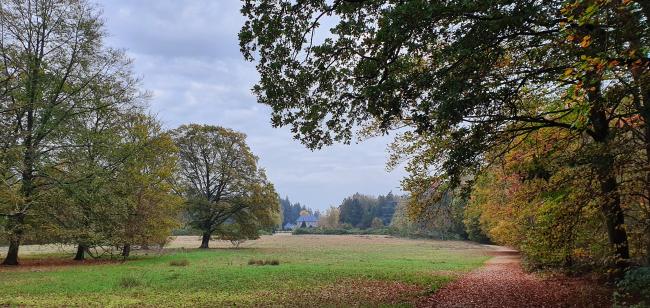 Kort en Prachtig Ruiterberg