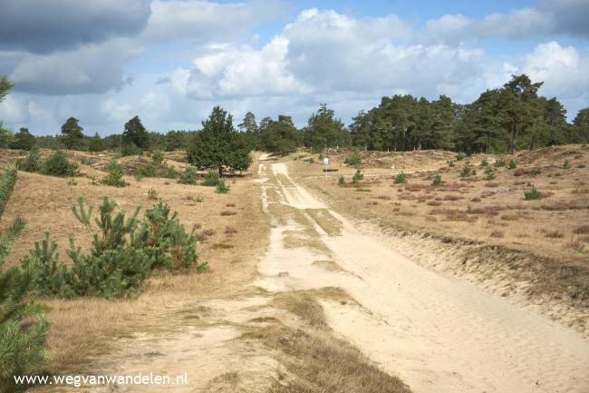 Weg van Aekingerzand