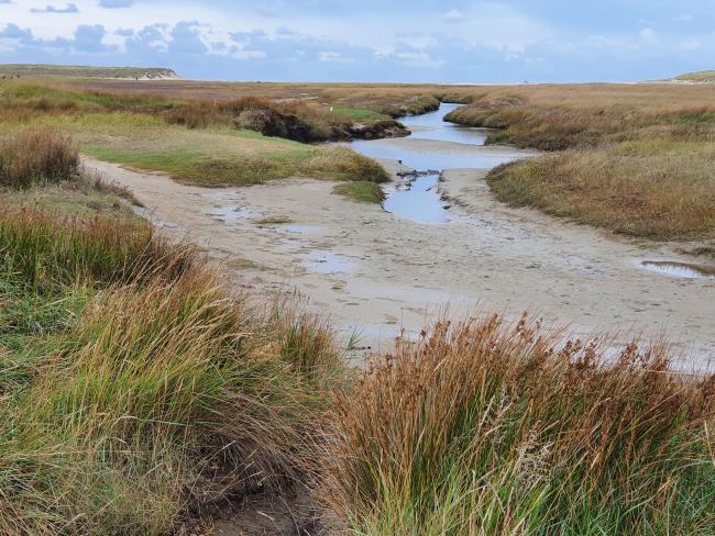 Trage Tocht Texel De Slufter