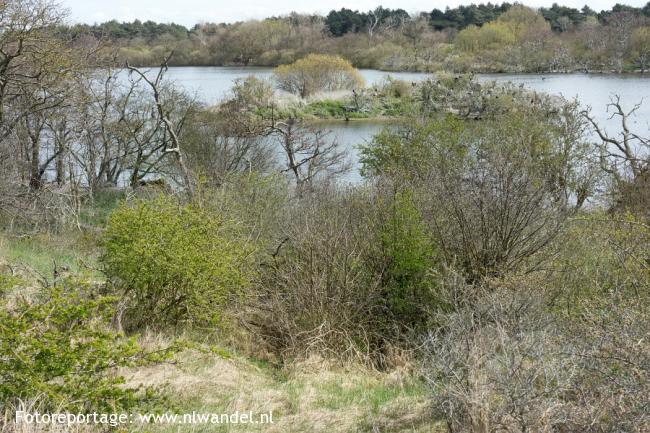 Breede Water, aalscholverkolonie